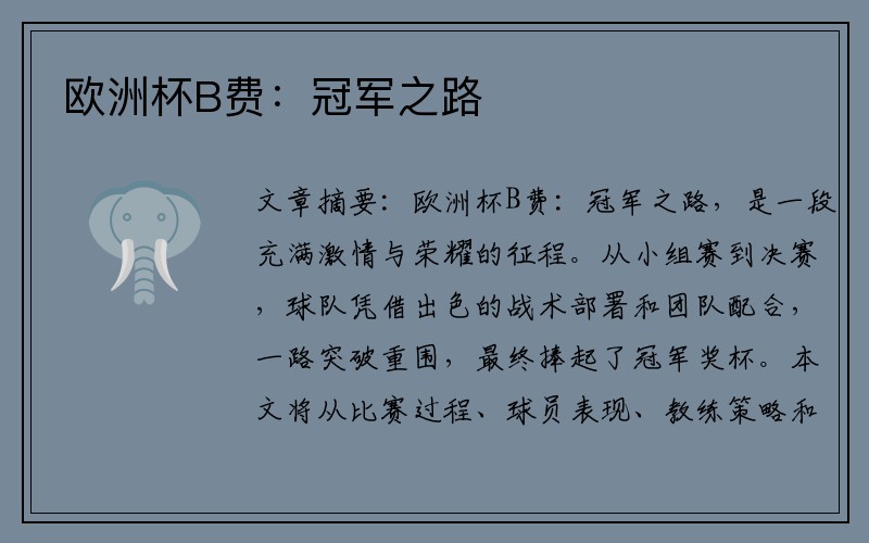 欧洲杯B费:冠军之路