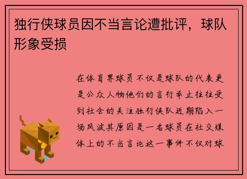 独行侠球员因不当言论遭批评，球队形象受损
