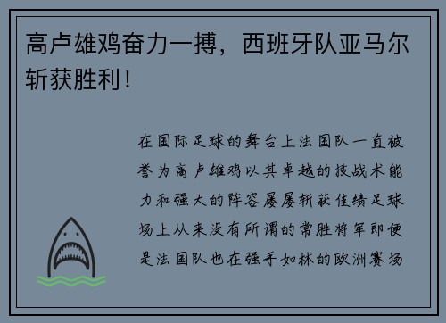 高卢雄鸡奋力一搏，西班牙队亚马尔斩获胜利！